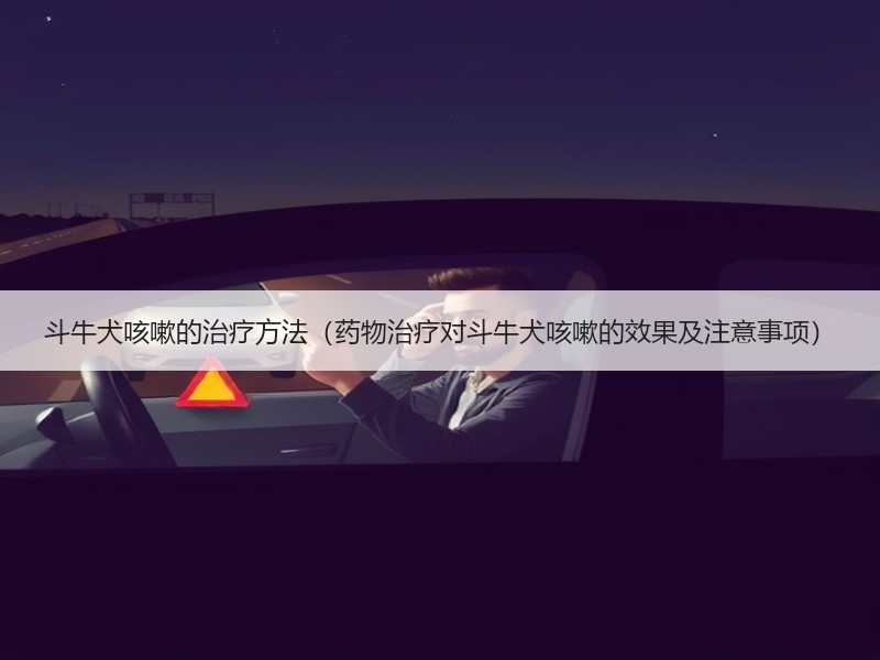 斗牛犬咳嗽的治疗方法（药物治疗对斗牛犬咳嗽的效果及注意事项）