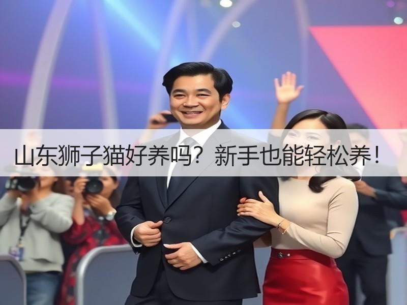 山东狮子猫好养吗？新手也能轻松养！