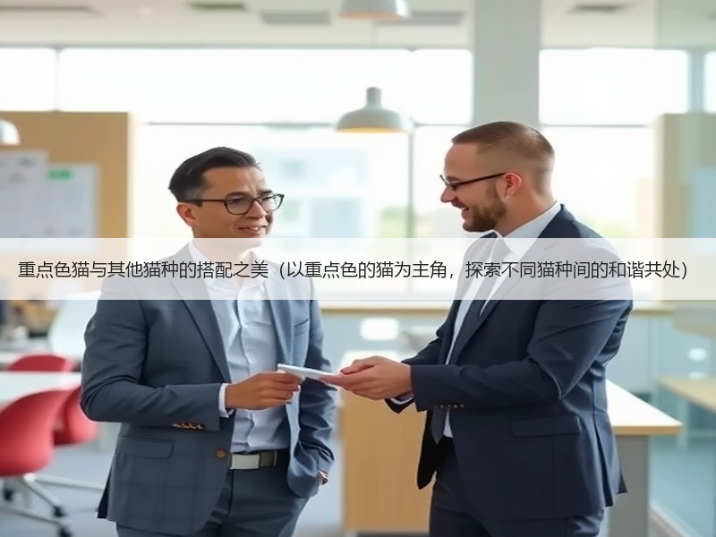 重点色猫与其他猫种的搭配之美（以重点色的猫为主角，探索不同猫种间的和谐共处）