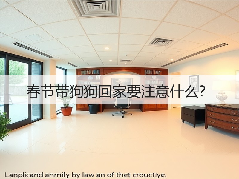 春节带狗狗回家要注意什么？