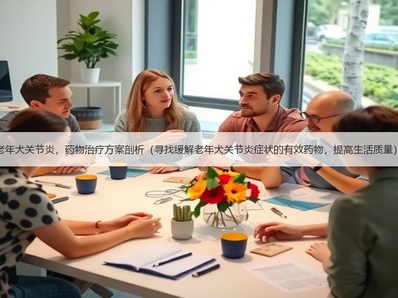 老年犬关节炎，药物治疗方案剖析（寻找缓解老年犬关节炎症状的有效药物，提高生活质量）