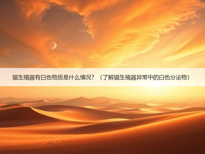 猫生殖器有白色物质是什么情况？（了解猫生殖器异常中的白色分泌物）