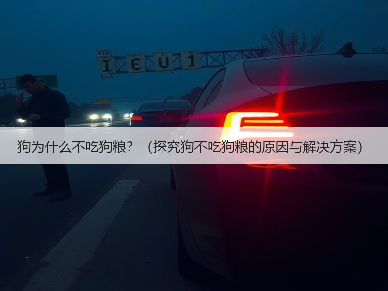 狗为什么不吃狗粮？（探究狗不吃狗粮的原因与解决方案）