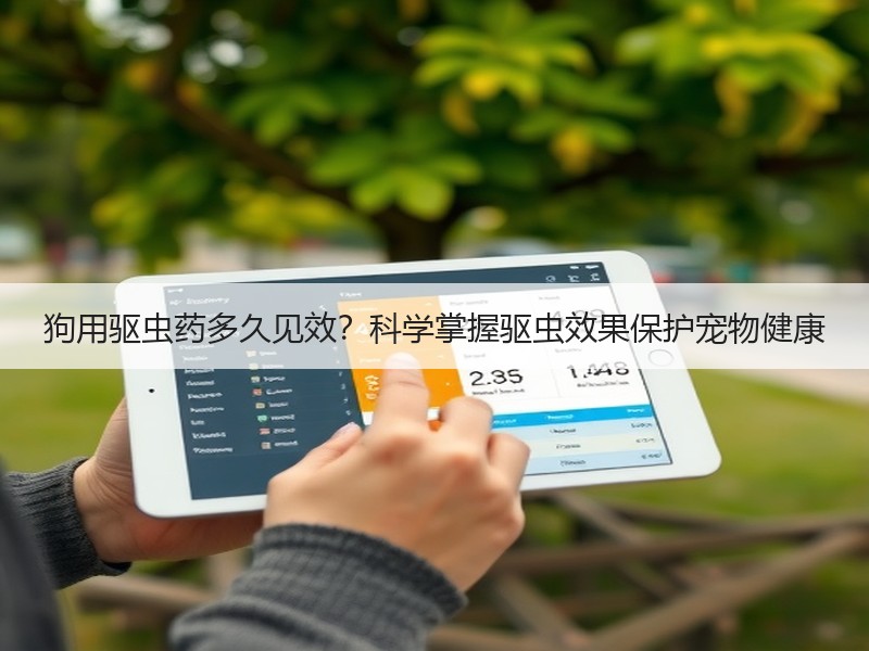 狗用驱虫药多久见效？科学掌握驱虫效果保护宠物健康