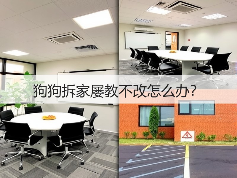 狗狗拆家屡教不改怎么办？