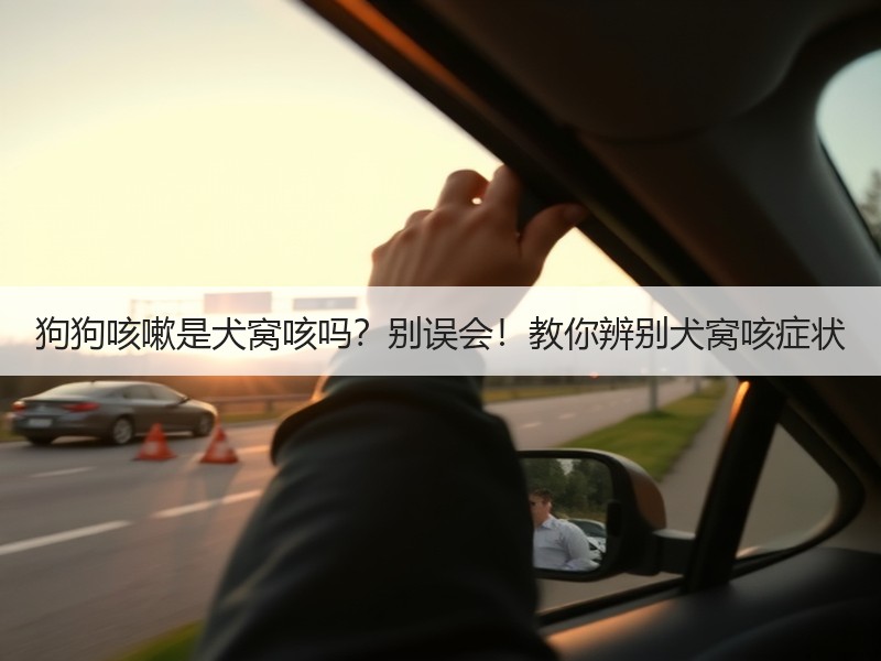 狗狗咳嗽是犬窝咳吗？别误会！教你辨别犬窝咳症状