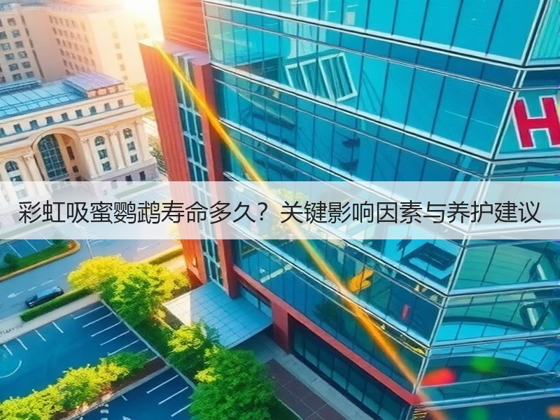 彩虹吸蜜鹦鹉寿命多久？关键影响因素与养护建议
