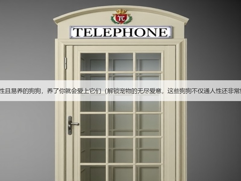 6种通人性且易养的狗狗，养了你就会爱上它们（解锁宠物的无尽爱意，这些狗狗不仅通人性还非常好养！）