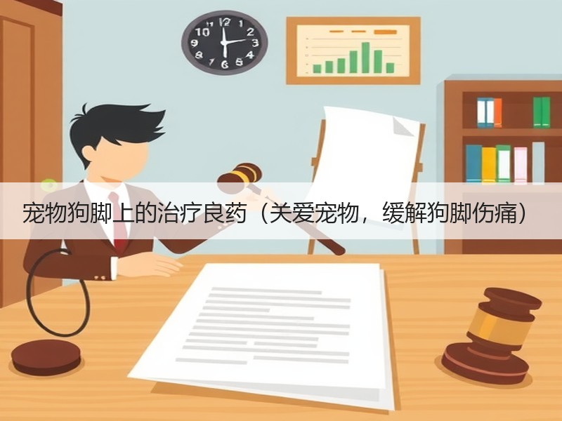 宠物狗脚上的治疗良药（关爱宠物，缓解狗脚伤痛）