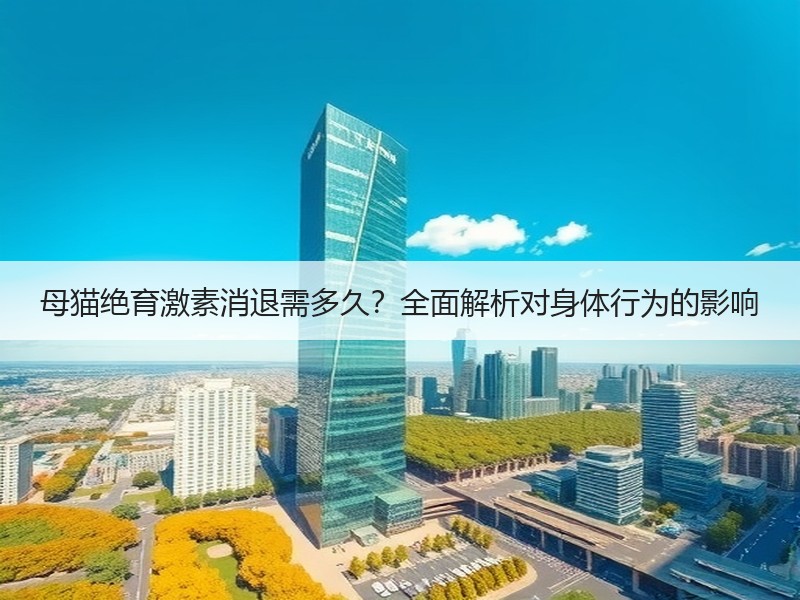 母猫绝育激素消退需多久？全面解析对身体行为的影响