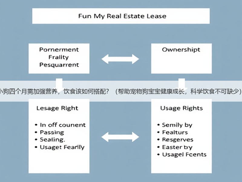 小狗四个月需加强营养，饮食该如何搭配？（帮助宠物狗宝宝健康成长，科学饮食不可缺少）