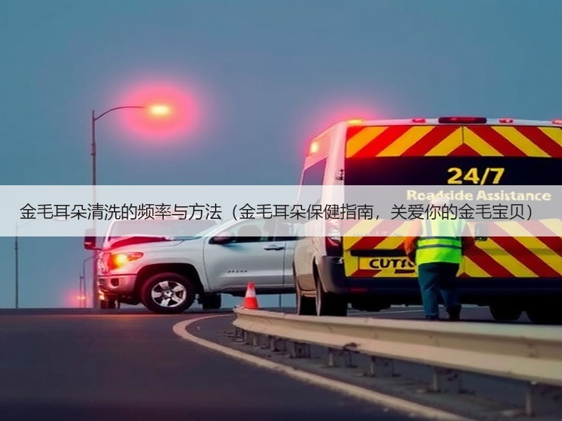 金毛耳朵清洗的频率与方法（金毛耳朵保健指南，关爱你的金毛宝贝）