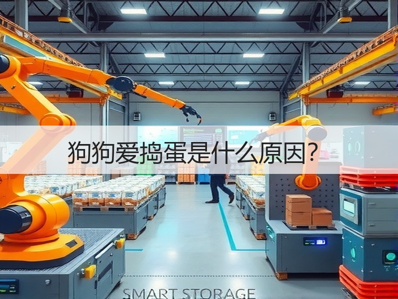 狗狗爱捣蛋是什么原因？