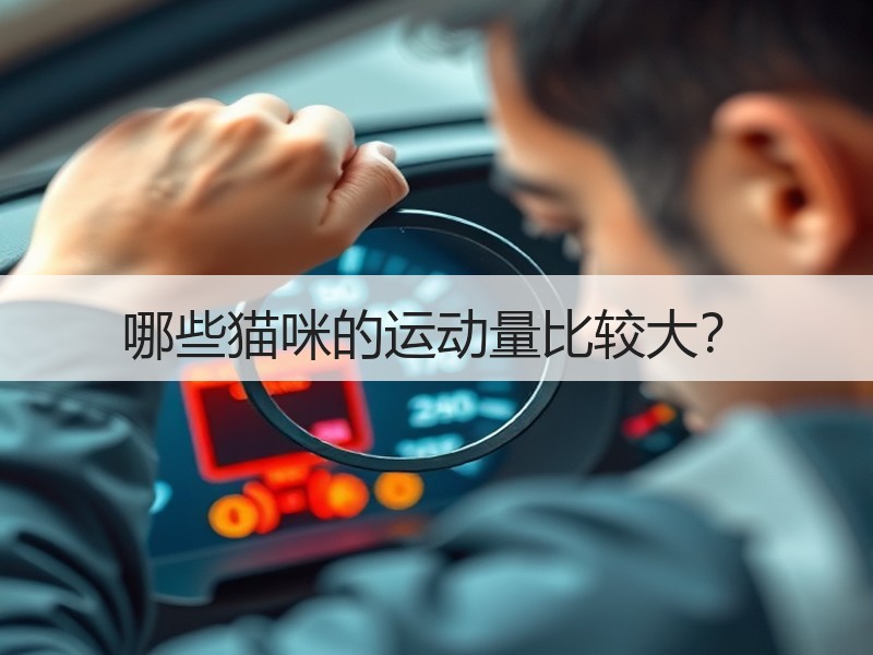 哪些猫咪的运动量比较大？
