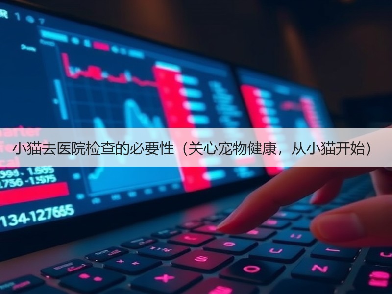 小猫去医院检查的必要性（关心宠物健康，从小猫开始）