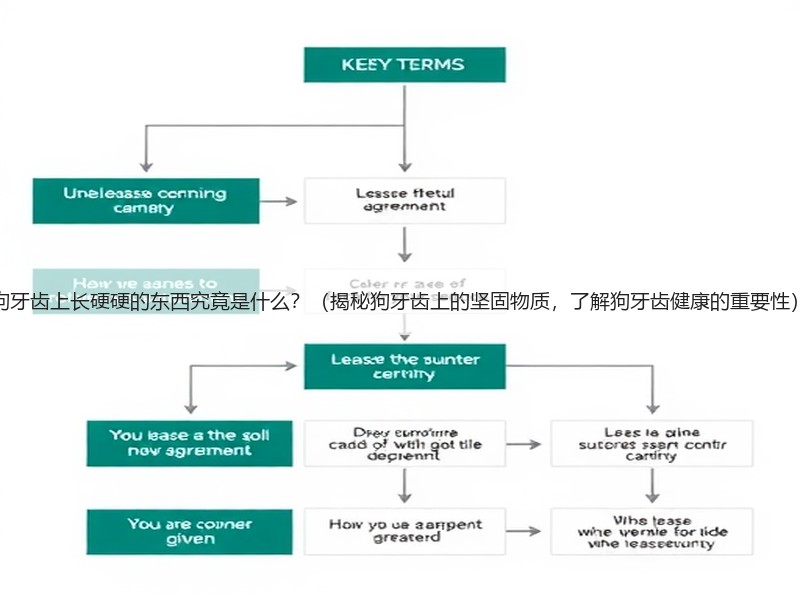 狗牙齿上长硬硬的东西究竟是什么？（揭秘狗牙齿上的坚固物质，了解狗牙齿健康的重要性）