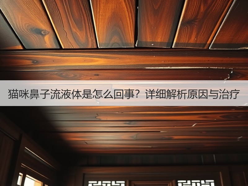 猫咪鼻子流液体是怎么回事？详细解析原因与治疗