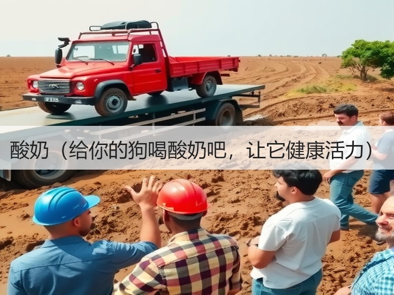 酸奶（给你的狗喝酸奶吧，让它健康活力）