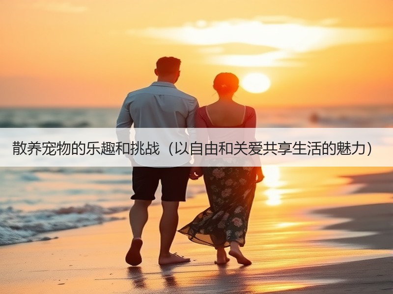 散养宠物的乐趣和挑战（以自由和关爱共享生活的魅力）