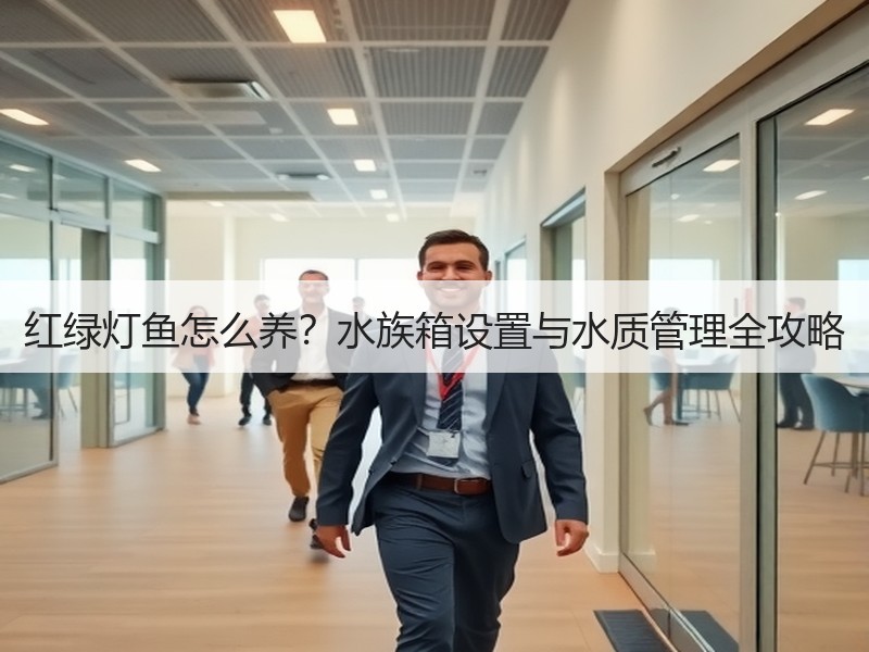 红绿灯鱼怎么养？水族箱设置与水质管理全攻略