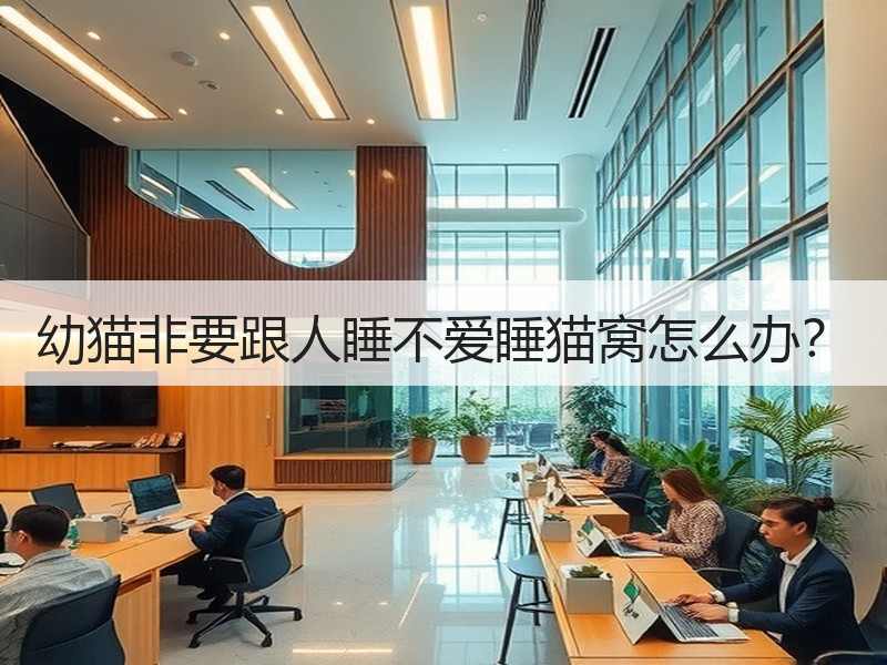 幼猫非要跟人睡不爱睡猫窝怎么办？