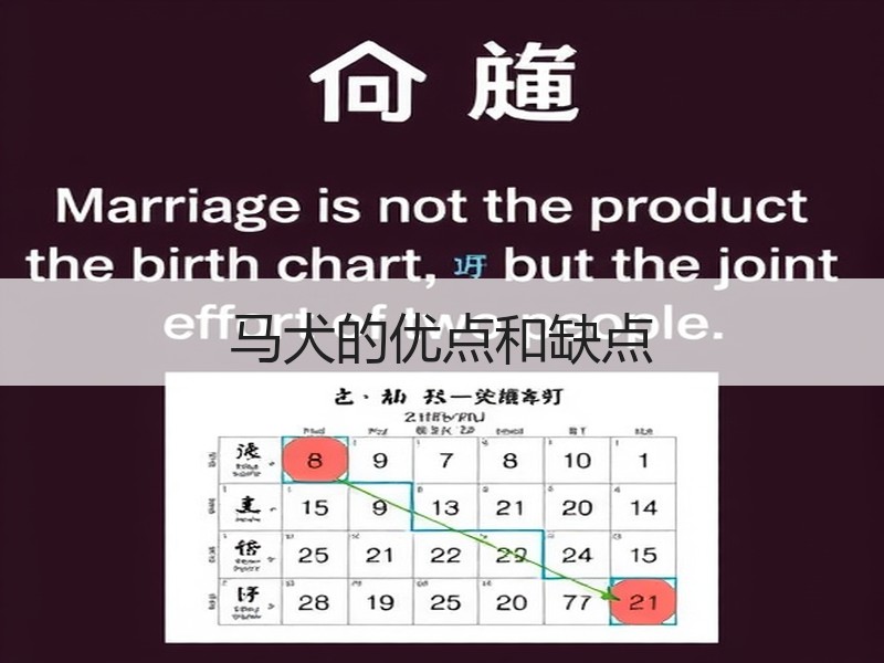 马犬的优点和缺点