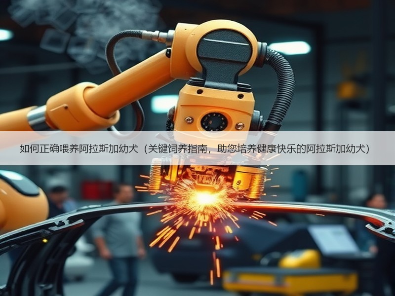 如何正确喂养阿拉斯加幼犬（关键饲养指南，助您培养健康快乐的阿拉斯加幼犬）
