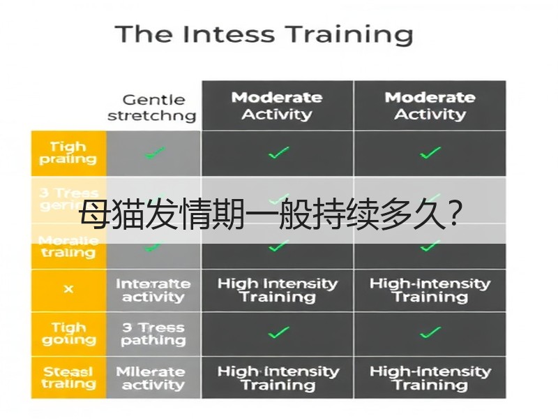 母猫发情期一般持续多久？