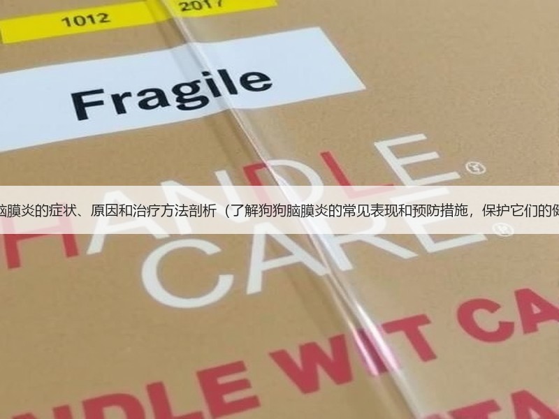 狗狗脑膜炎的症状、原因和治疗方法剖析（了解狗狗脑膜炎的常见表现和预防措施，保护它们的健康）