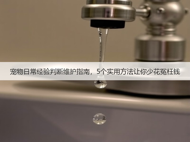 宠物日常经验判断维护指南，5个实用方法让你少花冤枉钱