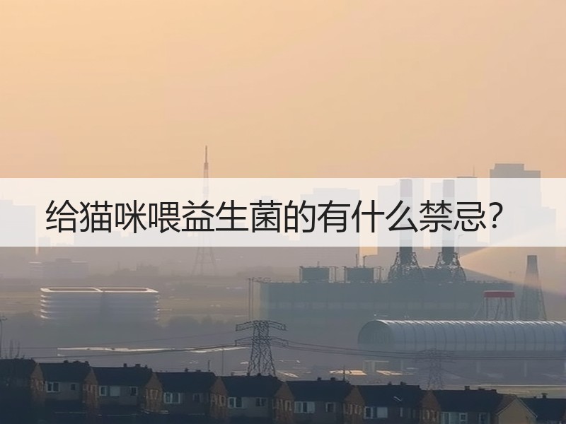 给猫咪喂益生菌的有什么禁忌？