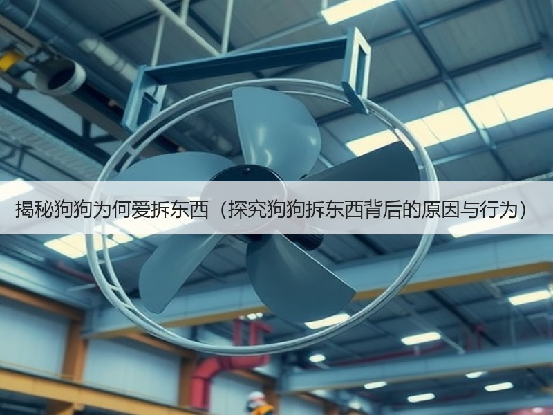 揭秘狗狗为何爱拆东西（探究狗狗拆东西背后的原因与行为）