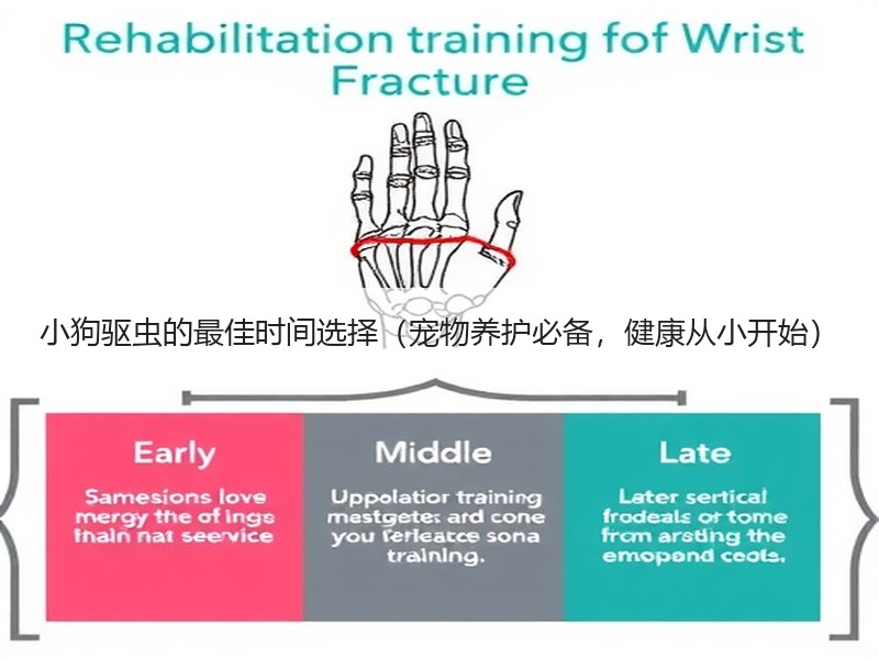 小狗驱虫的最佳时间选择（宠物养护必备，健康从小开始）