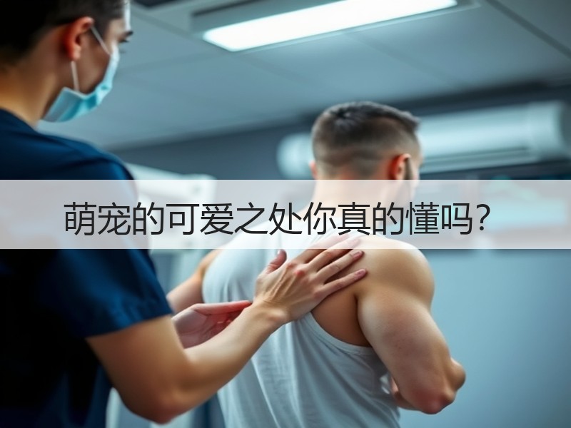 萌宠的可爱之处你真的懂吗？