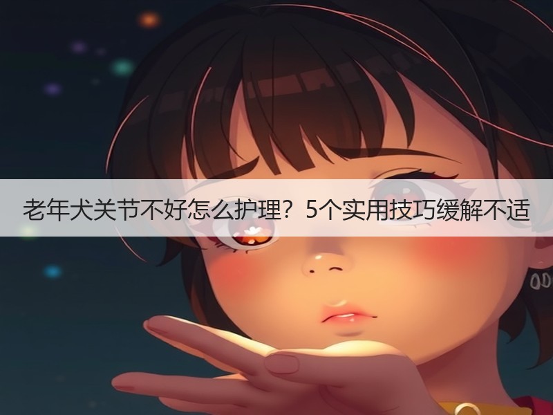 老年犬关节不好怎么护理？5个实用技巧缓解不适