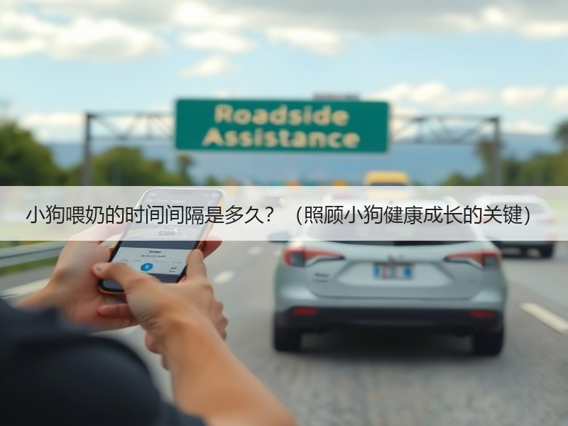 小狗喂奶的时间间隔是多久？（照顾小狗健康成长的关键）