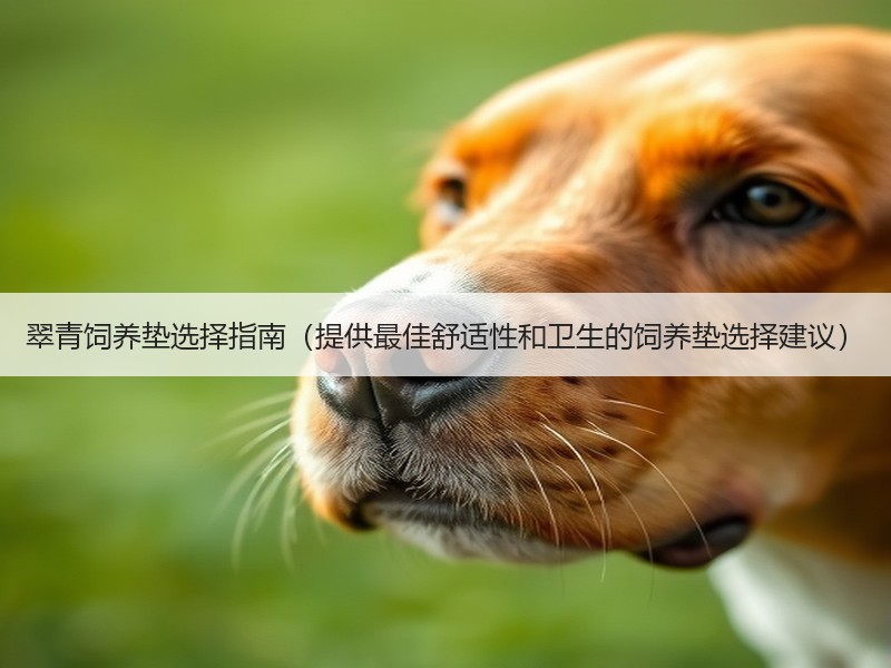 翠青饲养垫选择指南（提供最佳舒适性和卫生的饲养垫选择建议）