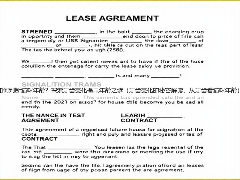 如何判断猫咪年龄？探索牙齿变化揭示年龄之谜（牙齿变化的秘密解读，从牙齿看猫咪年龄）
