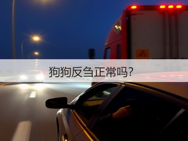 狗狗反刍正常吗？