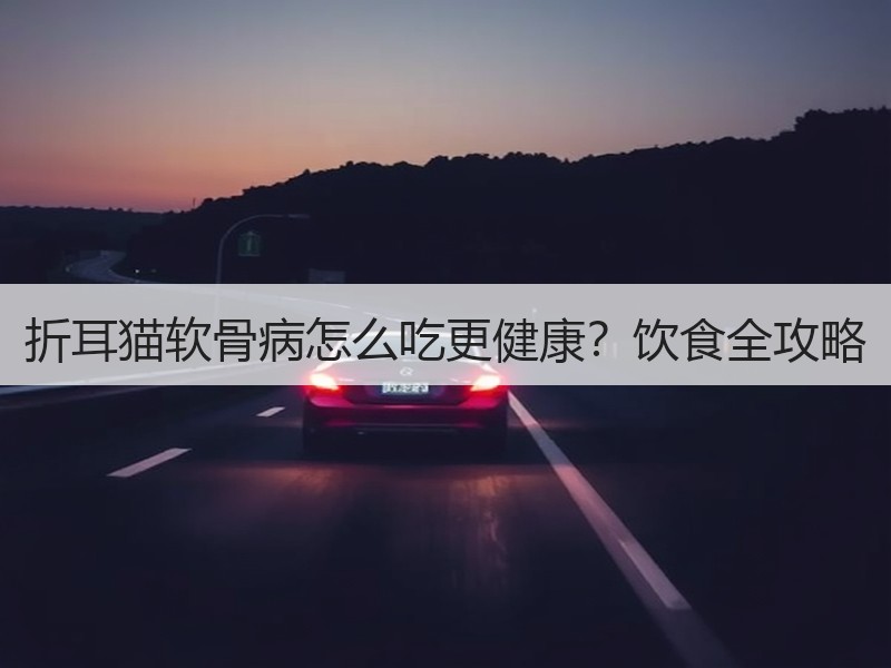 折耳猫软骨病怎么吃更健康？饮食全攻略