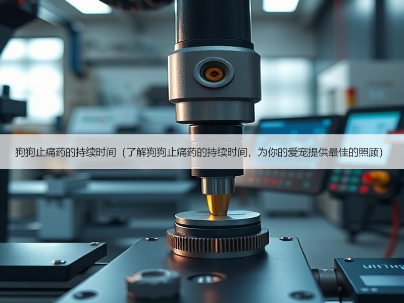 狗狗止痛药的持续时间（了解狗狗止痛药的持续时间，为你的爱宠提供最佳的照顾）