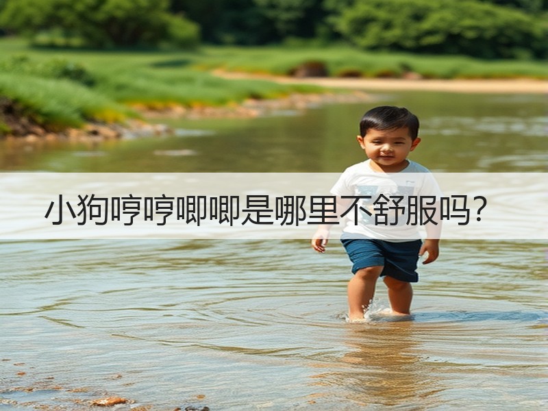 小狗哼哼唧唧是哪里不舒服吗？