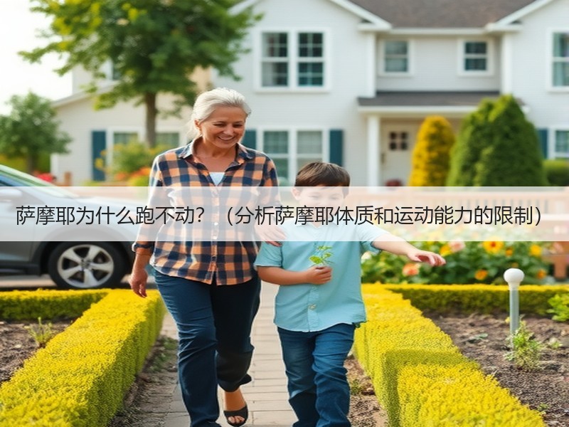 萨摩耶为什么跑不动？（分析萨摩耶体质和运动能力的限制）