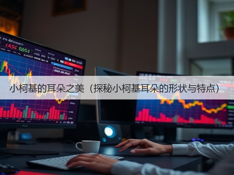 小柯基的耳朵之美（探秘小柯基耳朵的形状与特点）