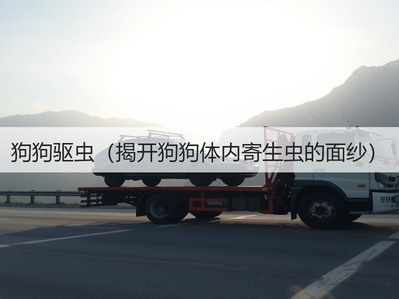 狗狗驱虫（揭开狗狗体内寄生虫的面纱）