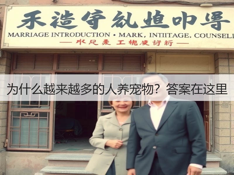 为什么越来越多的人养宠物？答案在这里
