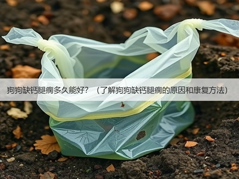 狗狗缺钙腿瘸多久能好？（了解狗狗缺钙腿瘸的原因和康复方法）