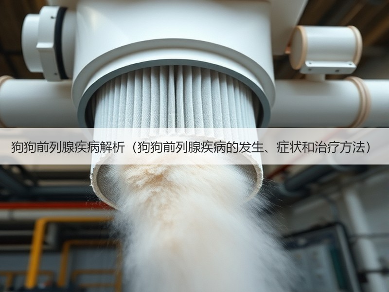 狗狗前列腺疾病解析（狗狗前列腺疾病的发生、症状和治疗方法）