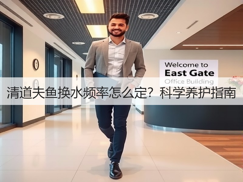 清道夫鱼换水频率怎么定？科学养护指南
