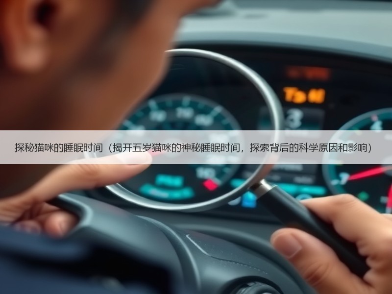 探秘猫咪的睡眠时间（揭开五岁猫咪的神秘睡眠时间，探索背后的科学原因和影响）